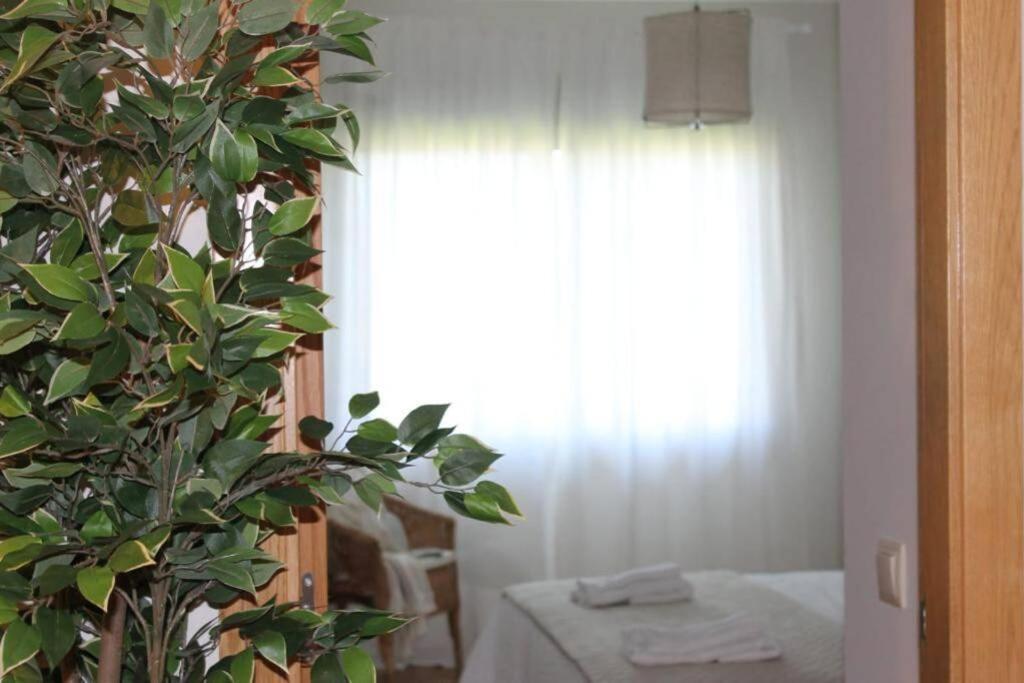 Apartamento Riomar リバドゥミア エクステリア 写真